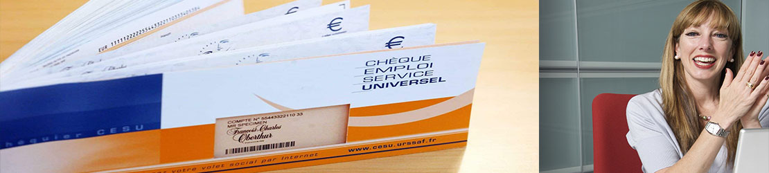 REDUCTION D IMPOTS AVEC LE CESU